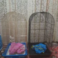 وسایل پرنده
