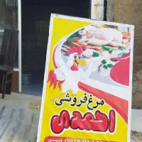 مرغ به نرخ تعاونی|عمده‌فروشی|جوانرود, |دیوار