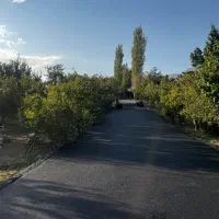 فروش زمین دردماوند ۲۸۰ متر سند تک برگ درجابان|فروش زمین و ملک کلنگی|تهران, ابوذر|دیوار