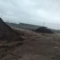 خرید و فروش کود حیوانی|خدمات باغبانی و درختکاری|نظرآباد, نجم آباد|دیوار