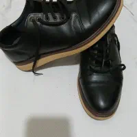 کفش هم مجلس وهم اداری