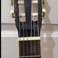 گیتار هافنر c204