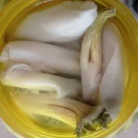 ترشی بیلهر