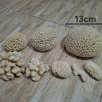 مرجان آکواریمی