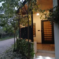 سوعیت جنگلی تمیز ۴۴ متری.