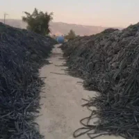 خرید و جمع آوری تیپ یانوارتیپ قطره ای سر زمین