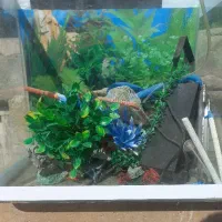 اکواریوم با تجهیزات