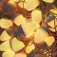 ریسه بلوطی ، چلچراغ نوری ، ریسه لامپی کف قیمت|ریسه و چراغ تزئینی|تهران, لاله زار|دیوار