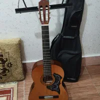 گیتار به همراه کیف