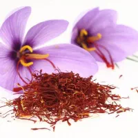 زعفران اصل اصل .بومی سفیدشهر