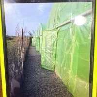 گلخانه با جواز تجاری و مسکونی