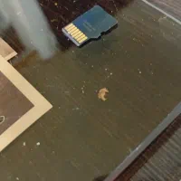 رم ۳۲ گیگ|لوازم جانبی موبایل و تبلت|بندر انزلی, اطبا|دیوار