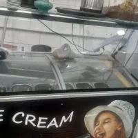 یخچال بستنی|کافی‌شاپ و رستوران|فردیس, فردیس|دیوار