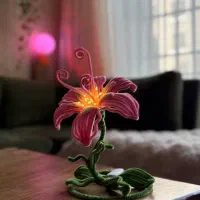 چراغ خواب گل پیپ پاک کن