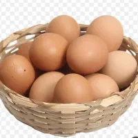 تخم مرغ محلی
