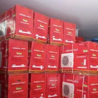 کولر گازی جنرال گلدموتور T3مدلGG-BS30000 ECO|کولر گازی و فنکوئل|بانه, |دیوار