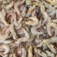 سرمایگذاری خرید فروش ماهی