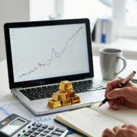 مشاور سرمایه‌گذاری مخصوص سرمایه‌های خرد و کم