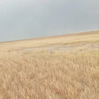 زمین مسکونی داخل طرح هادی مدارک تکمیل