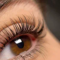 فرصت استثنائ لیفت ابرو و مژه با تخفیف ۵۰ درصدی|خدمات آرایشگری و زیبایی|مشهد, فلسطین|دیوار
