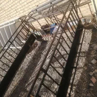 اتاق نیسان جهرمی|قطعات یدکی و لوازم جانبی|ارسنجان, |دیوار