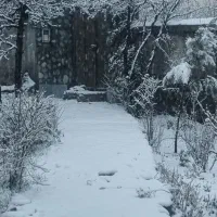 زمین بی نظیر در بهترین نقطه طالقان کامل