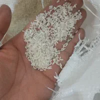 برنج طارم هاشمی و سرلاشه