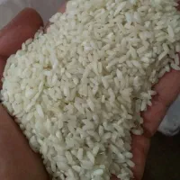 برنح چمپا خوش عطر