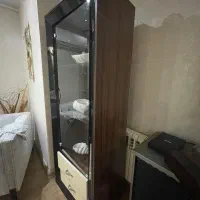 ویترین|بوفه، ویترین، کنسول|رشت, کاکتوس|دیوار