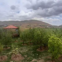 ۴۱۷مترباغ سیب با حق آب درختانبارده|فروش زمین و ملک کلنگی|آبسرد, |دیوار