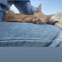 آموزش زبان انگلیسی