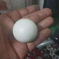 دو عدد سنگ آسیاب یا سنگ الماس