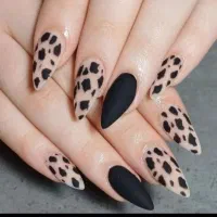 مدل رایگان کوتاهی و میکاپ تیم حرفه ای لاینها مختلف|خدمات آرایشگری و زیبایی|بروجرد, |دیوار