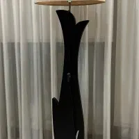 اباژور  ایستاده کنار سالنی