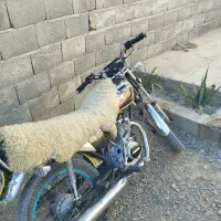 موتور سالم فروش فوری|موتورسیکلت|سیب و سوران, |دیوار