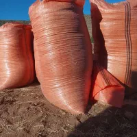 کاه