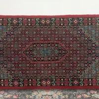 پنج عددپشتی|پشتی|جوانرود, |دیوار