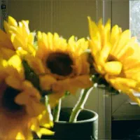 خوابگاه-دخترانه-خودگردان-ترنم