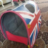 اسکچر سالم همراه باکس|لوازم جانبی حیوانات|تهران, توحید|دیوار