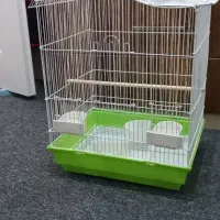 قفس عروس هلندی