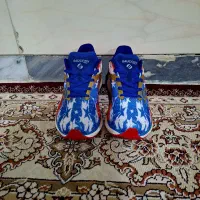 کفش ساکونی|کیف، کفش، کمربند|شیراز, شهرک بهار|دیوار