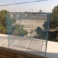 قفس|لوازم جانبی حیوانات|شهریار, شهرک بهاران (ویره)|دیوار