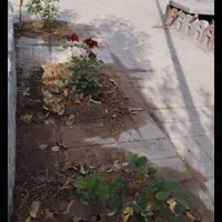 فروش فوری باغ|فروش خانه و ویلا|فولادشهر, A6|دیوار