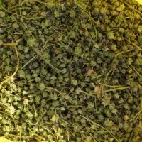 گیاه دارویی خارخاسک