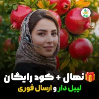 فروش نهال انار واندرفول رقم پربار خارجی