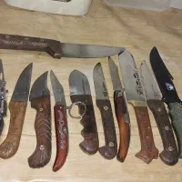 چندعددچاقومعاوضه دارم باطوطی برزیلی مینادستی پرنده