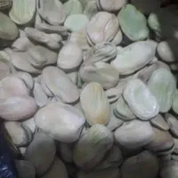 باقله درجه یک برناج|عمده‌فروشی|بیستون, |دیوار