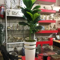 گل کنار سالنی مصنوعی|گل مصنوعی|اسلامشهر, شهرک امام حسین (میان آباد)|دیوار