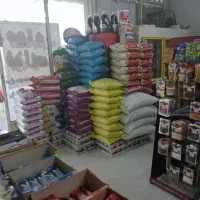 کالابرگ  موجود است