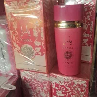 عطر و ادکلن|آرایشی، بهداشتی، درمانی|مشهد, انقلاب|دیوار